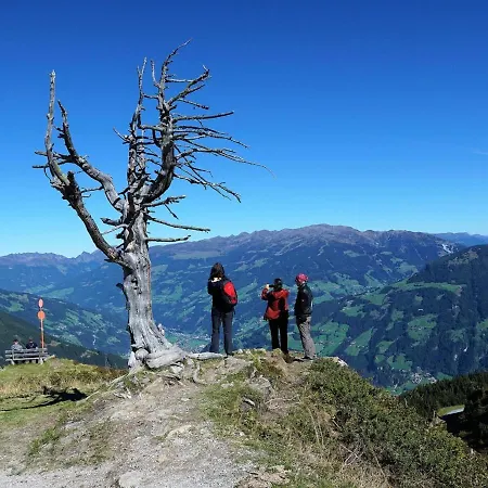 Rosenheim In *